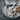 Arcade cutlery, by Robbe & Berking