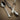 Carrs BEAD Silver Plate Cutlery
