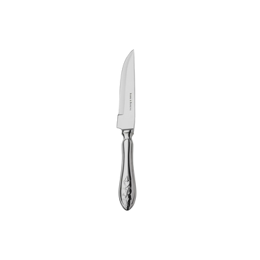 Robbe Berking Jardin Stainless Steel Steak Knife