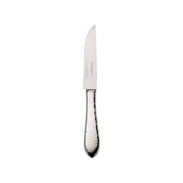 Robbe & Berking Martele Silver Steak Knife