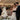 Wedding couple cutting a wedding cake with guests in the background.